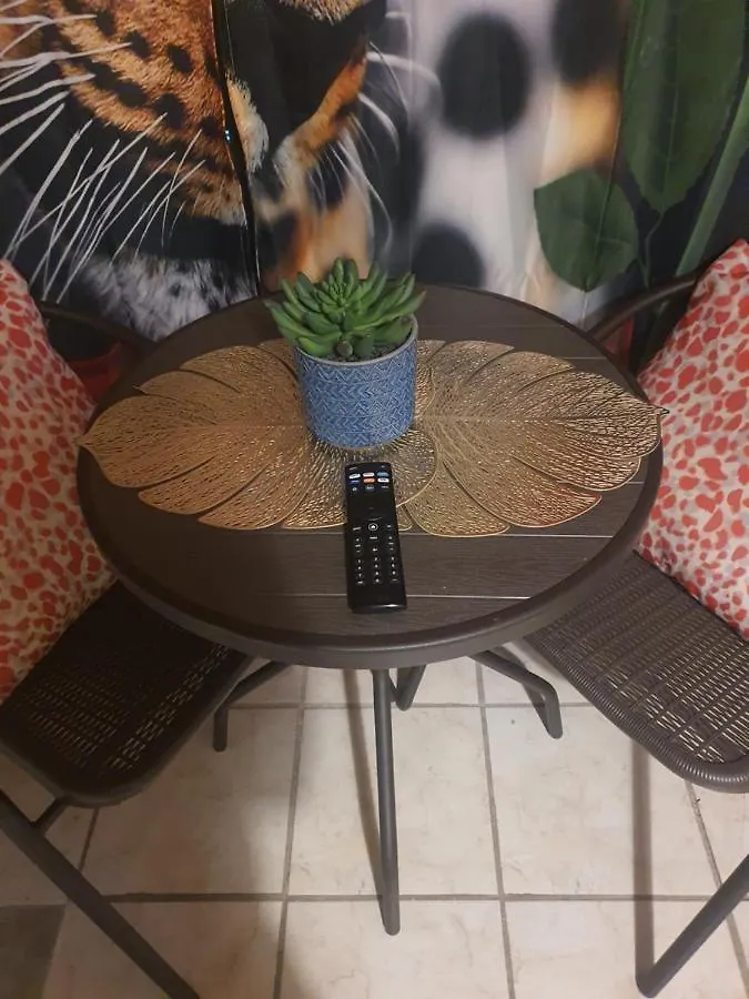 Mjac Apartment Jungle Beach San Juan